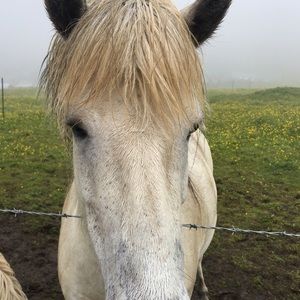 Meet your Posher, Bei